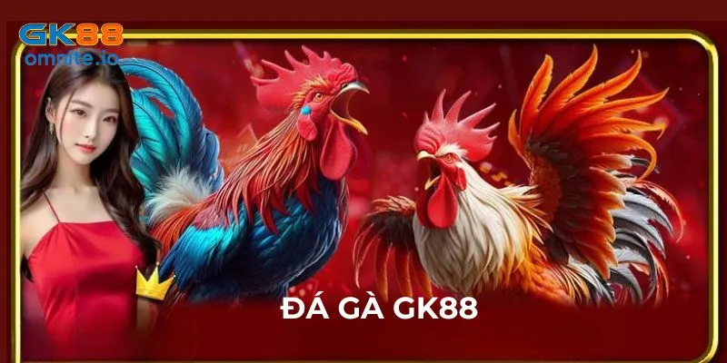 Đà gà GK88 kịch tính, hấp dẫn trong mỗi trận đấu