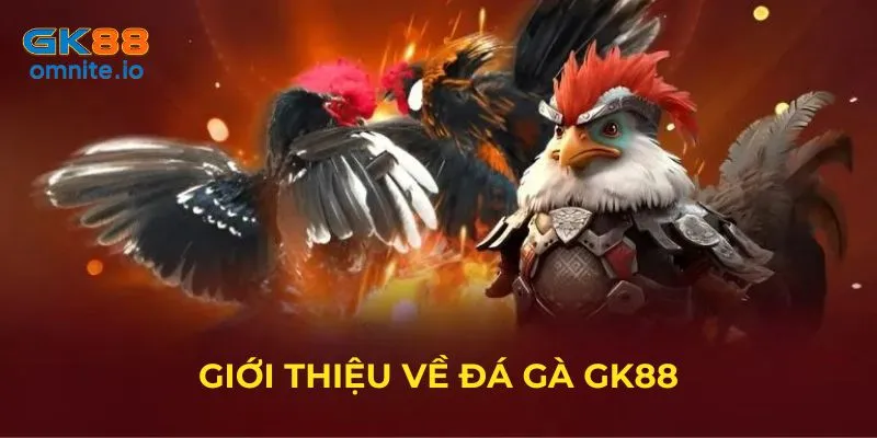 Đá gà GK88 sân chơi hấp dẫn cho các sư kê