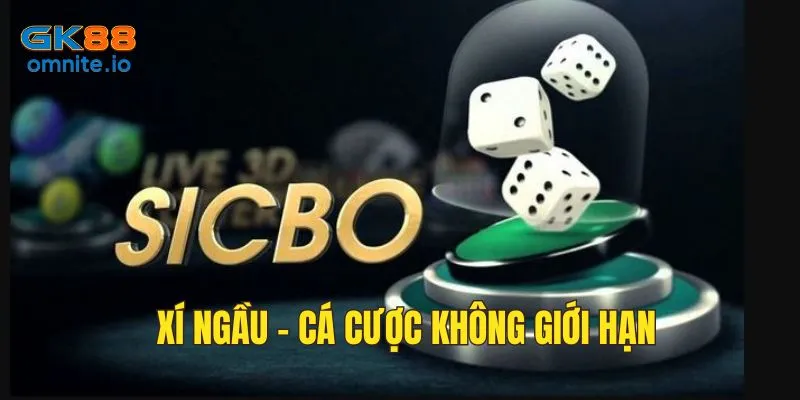 Xí ngầu cá cược không giới hạn nhiều cơ hội thắng lớn
